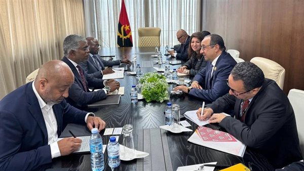 وزير قطاع الأعمال