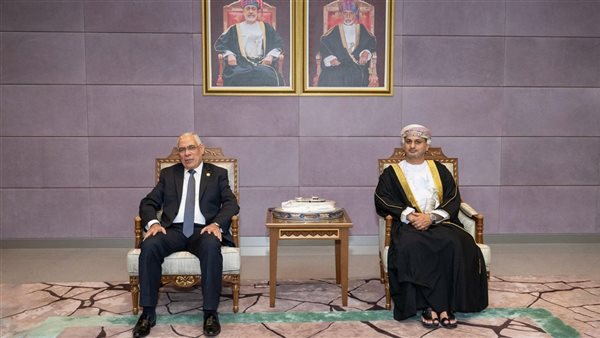 المستشار محمد شوقي