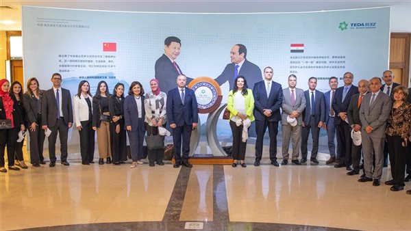 لقاء السفراء بالخارج