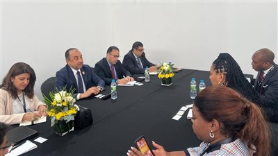 على هامش قمة لواندا.. مباحثات مصرية أمريكية لتوليد الكهرباء من الطاقة النظيفة