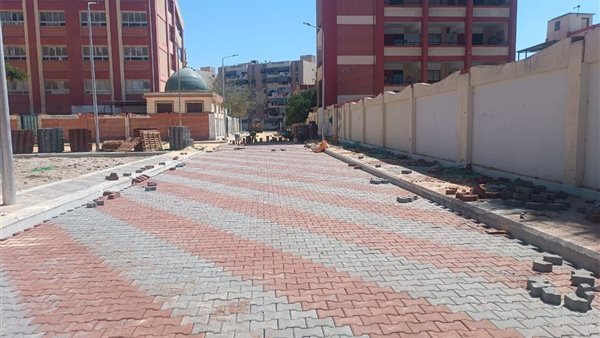 الجهود التنفيذية