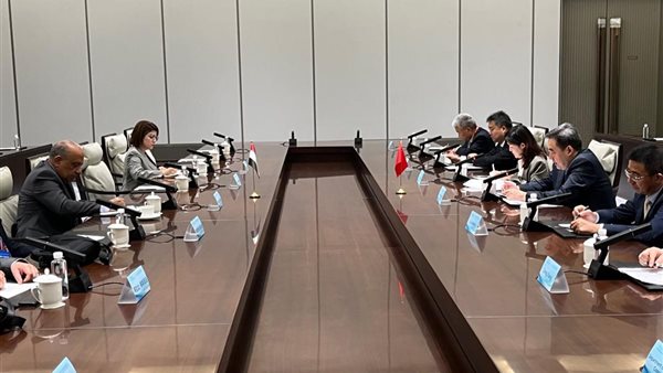 وزير الكهرباء