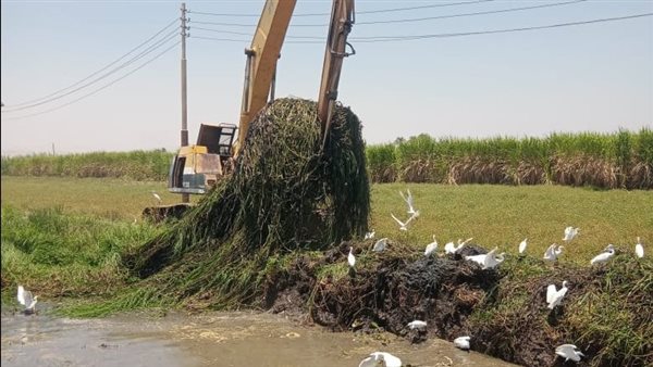 تطهير الترع بأسيوط