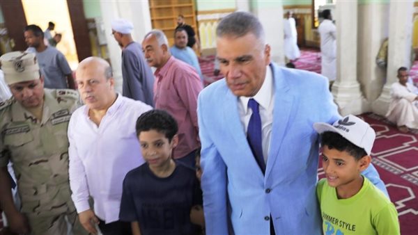 محافظ أسوان