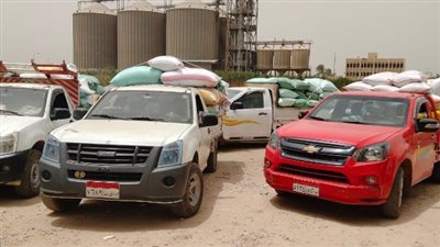  محافظ البحيرة: توريد 316 ألف طن قمح للشون والصوامع حتى الآن