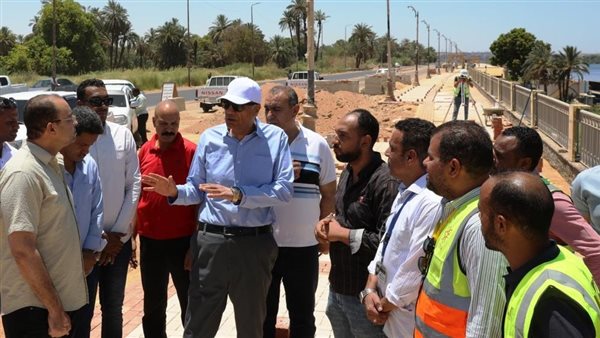 محافظ أسوان