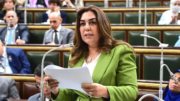 وزيرة التنمية المحلية