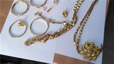  سرقا ربع كيلو ذهب.. القبض على متهمين بالنصب على محامية في أكتوبر بحيلة إنستا باي 