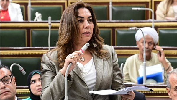 وزيرة التنمية المحلية