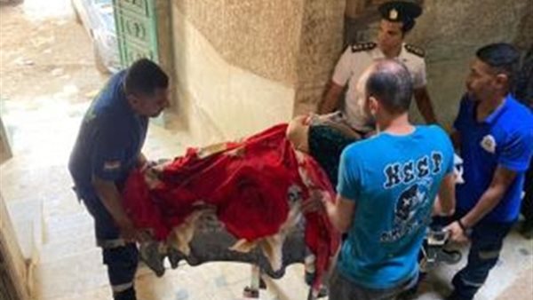  أمن القاهرة يستجيب