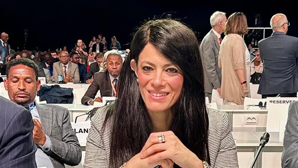 وزيرة التخطيط والتنمية