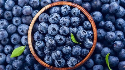 أمريكا تستدعي شحنة توت أزرق ملوثة ببكتيريا الليستيريا