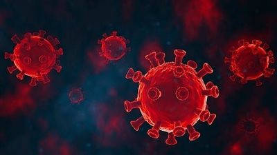 متحدث الصحة: لا خطر من فيروس ستراتوس.. ويتم التعامل معه مثل الإنفلونزا