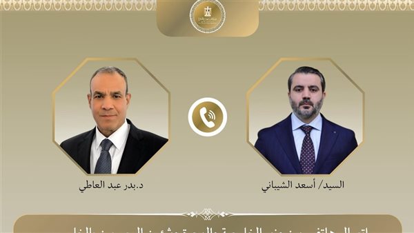 وزير الخارجية المصري