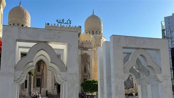 مشروع التطوير