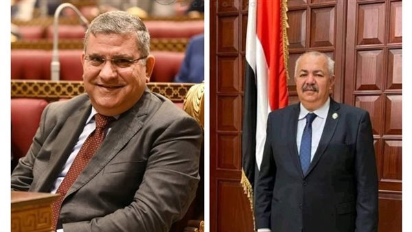 التحالف الفردي لمجلس