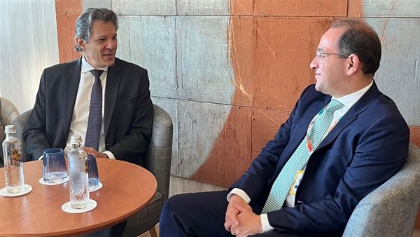 وزير المالية المصري