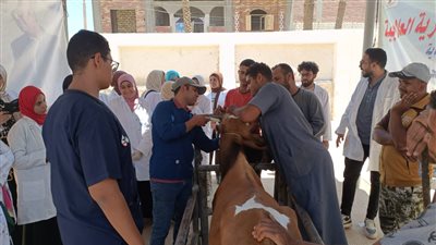 قافلة بيطرية لعلاج 843 حيوانا في قرية الكولة بسوهاج 