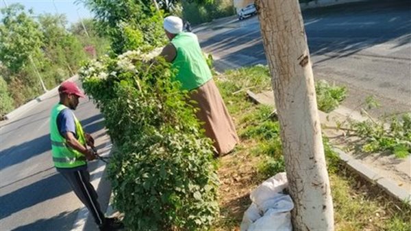 تجميل شوارع الأقصر