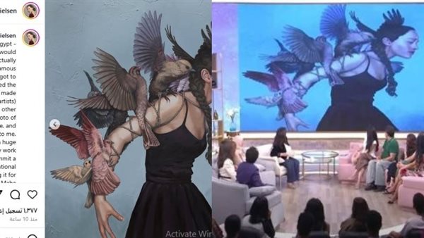 فنانة دنماركية تتهم