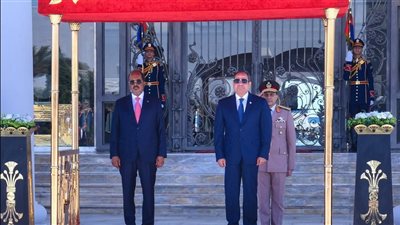 السيسي: زيارة رئيس الصومال لمصر تجسد عمق الروابط الأخوية بين البلدين
