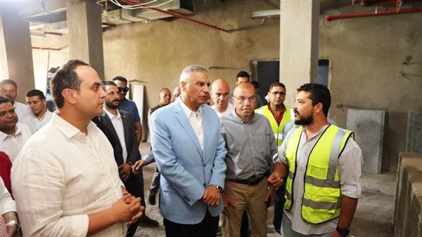 محافظ أسوان