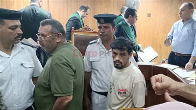 السجن 5 سنوات لصاحب التريلا المتسببة في حادث الإقليمي بالمنوفية