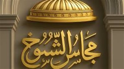 حتى الآن.. 6 مرشحين في اليوم الخامس لانتخابات الشيوخ بسوهاج 