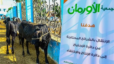 الصك بتاعنا فين؟.. اتهامات لجمعية الأورمان بعدم توزيع صكوك الأضاحي على المتبرعين