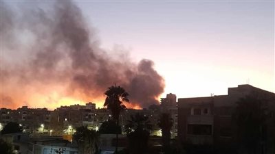 الدخان وصل السماء.. السيطرة على حريق أشجار في كفر عشري بالإسكندرية 