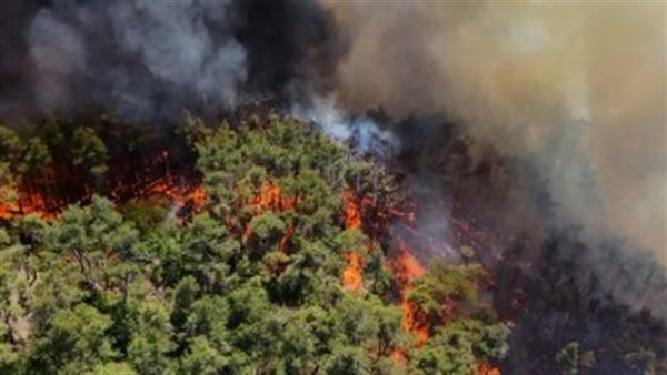 تجدد اشتعال الحرائق