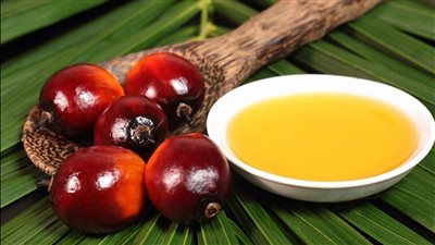 تعرف على أضرار زيت النخيل والكمية المسموح بتناولها يوميًا