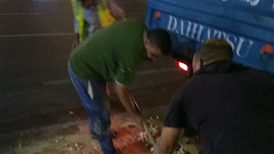 أحياء الإسكندرية: إصلاح كسر ماسورة مياه وتقليم الحدائق ورفع المخلفات