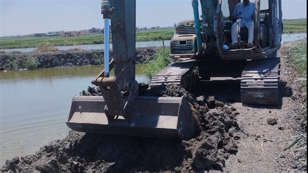 الجهود التنفيذية