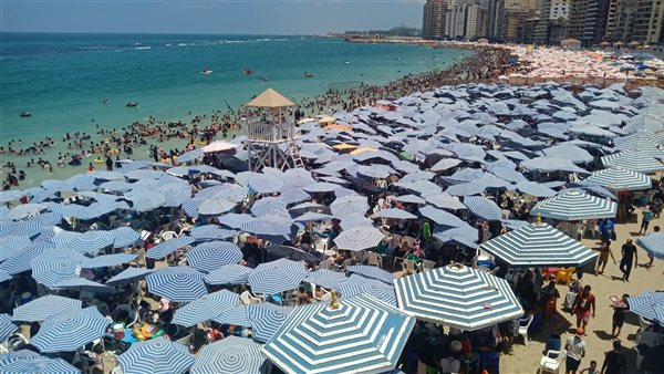 شواطئ الإسكندرية