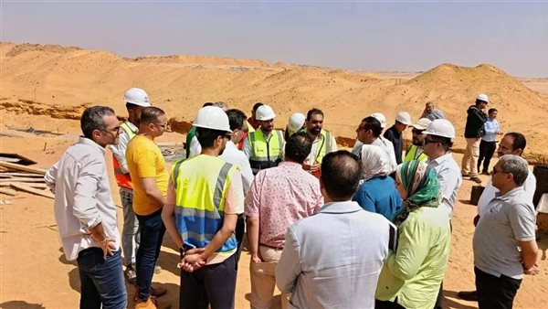 نائب وزير الكهرباء