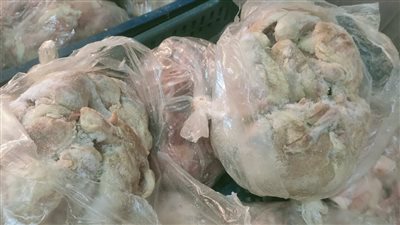 ضبط 13 طنًا من اللحوم والدواجن الفاسدة خلال حملة تموينية في بلقاس بالدقهلية