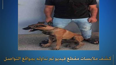 كنا بنصور فيديو وبنهزر.. القبض على مالك محل أحذية بتهمة ترويع أحد الأشخاص بكلب في الدقهلية