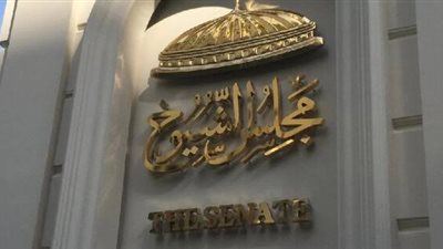 تضم 22 مرشحًا.. القائمة النهائية لمرشحي الفردي لمجلس الشيوخ بالدقهلية 