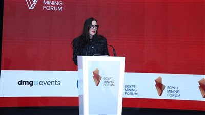 أنجلو جولد: أكثر من 3000 كيلومتر من مناطق الاستكشاف في مصر غير مستغلة بمعايير حديثة