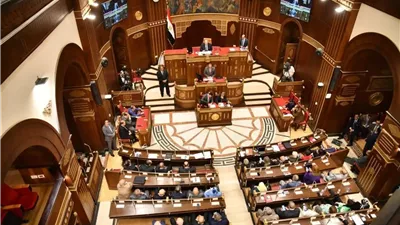 تضم 22 مرشحًا.. ننشر القائمة النهائية للمترشحين على النظام الفردي لمجلس الشيوخ بالإسكندرية