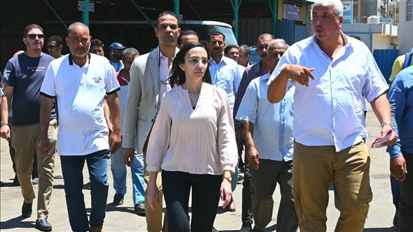 محافظ البحيرة تتفقد