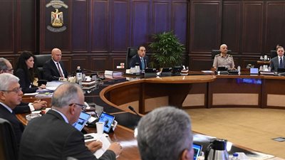 الحكومة: غرامة تصل لـ 10 آلاف جنيه لقيادة مركب بالنيل والامتناع عن إبراز التراخيص