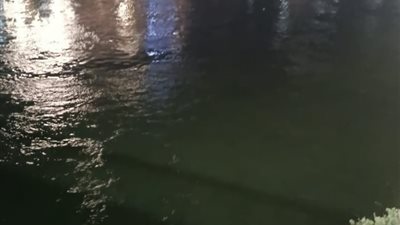 مصرع 3 أشقاء غرقًا خلال غسيل أيديهم في ترعة بأسيوط