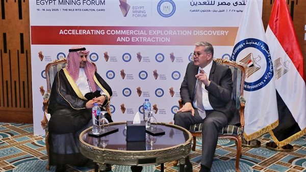 وزير البترول المصري