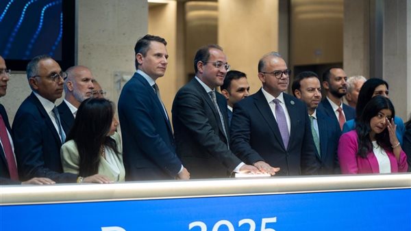 رئيس الرقابة المالية