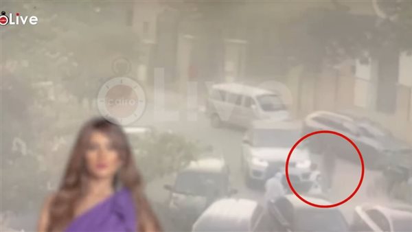 واقعة الفنانة زينة