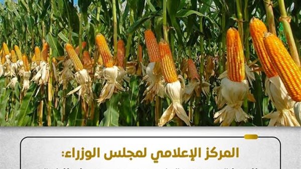 المركز الأعلامي لمجلس