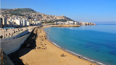 الطحالب البحرية تغطي شواطئ الجزائر وتحرم السكان من الاستمتاع بالسواحل