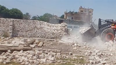 إزالة 943 حالة تعدٍ على الأراضي الزراعية وأملاك الدولة في بني سويف